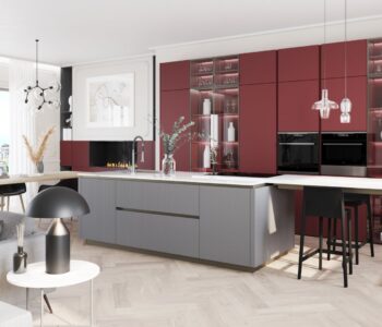 Cuisine-ouverte-idée-moderne-et-fonctionnelle